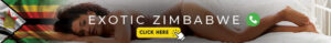 zimporn